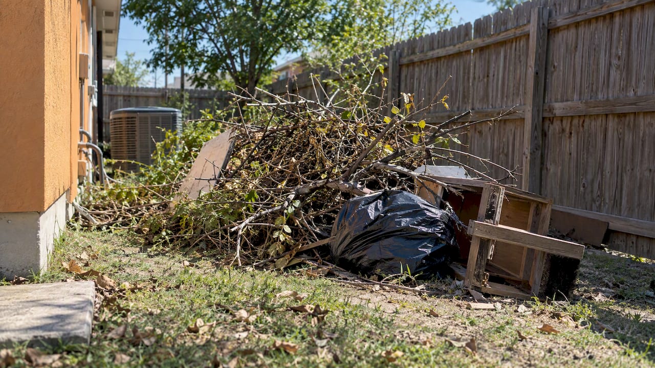 Discarded branches in a home's side yard